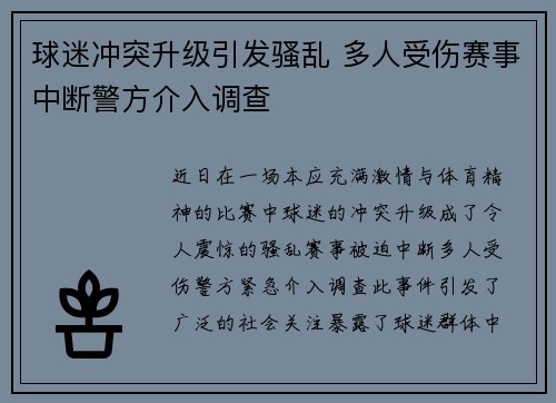球迷冲突升级引发骚乱 多人受伤赛事中断警方介入调查